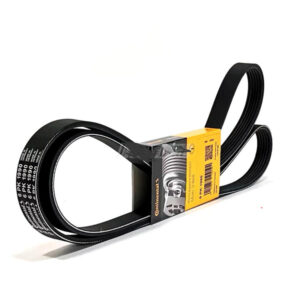 Replacement 11287631810 CONTINENTAL CTAM V-Ribbed Belt for Bmw,Daewoo,Mitsubishi,Toyota,Vw